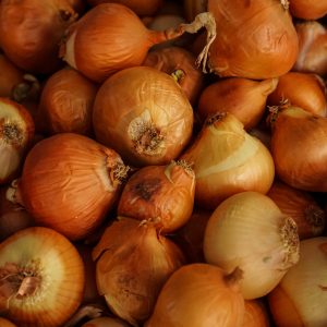 SEMILLAS DE CEBOLLA RUBIA 5gr