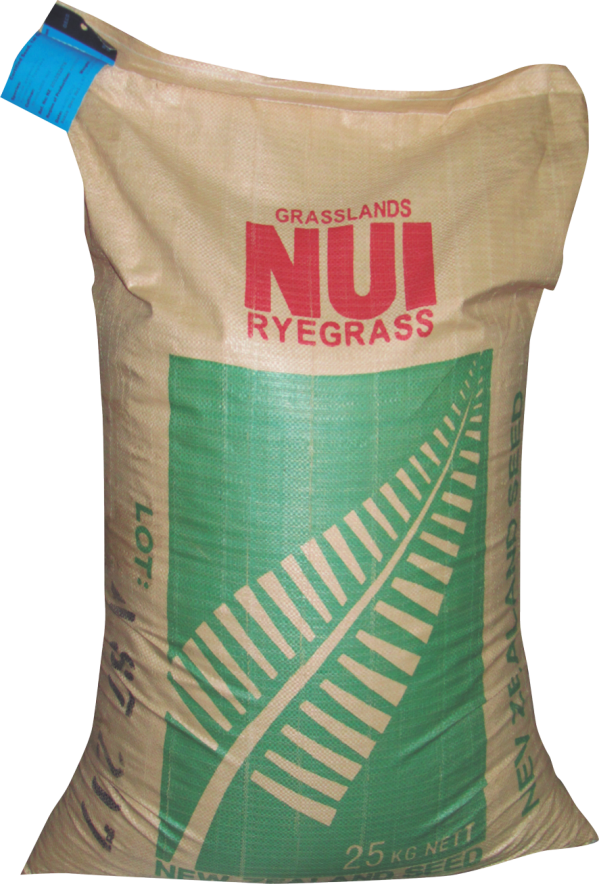 SEMILLA DE CESPED BALLICA PERENNE 1kg - Imagen 2