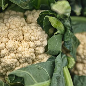 SEMILLA DE COLIFLOR SNOWBALL ¨Y¨