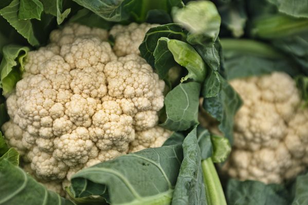SEMILLA DE COLIFLOR SNOWBALL ¨Y¨