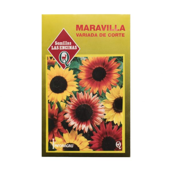 SEMILLA DE MARAVILLA DE CORTE 1gr - Imagen 2