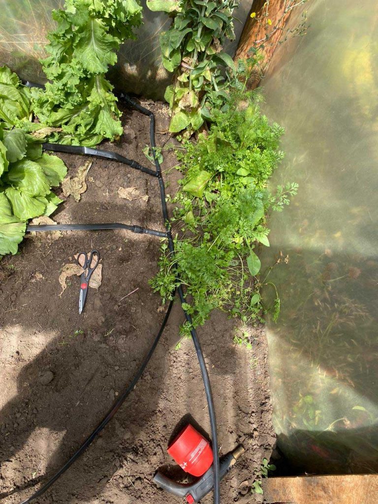 Agrofuta_c
